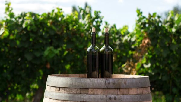 Ius Omnibus v Primedrinks (Retail Sector)